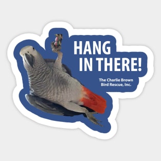 CB Hang in There Sticker